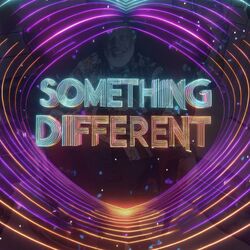 Cover of Something Different