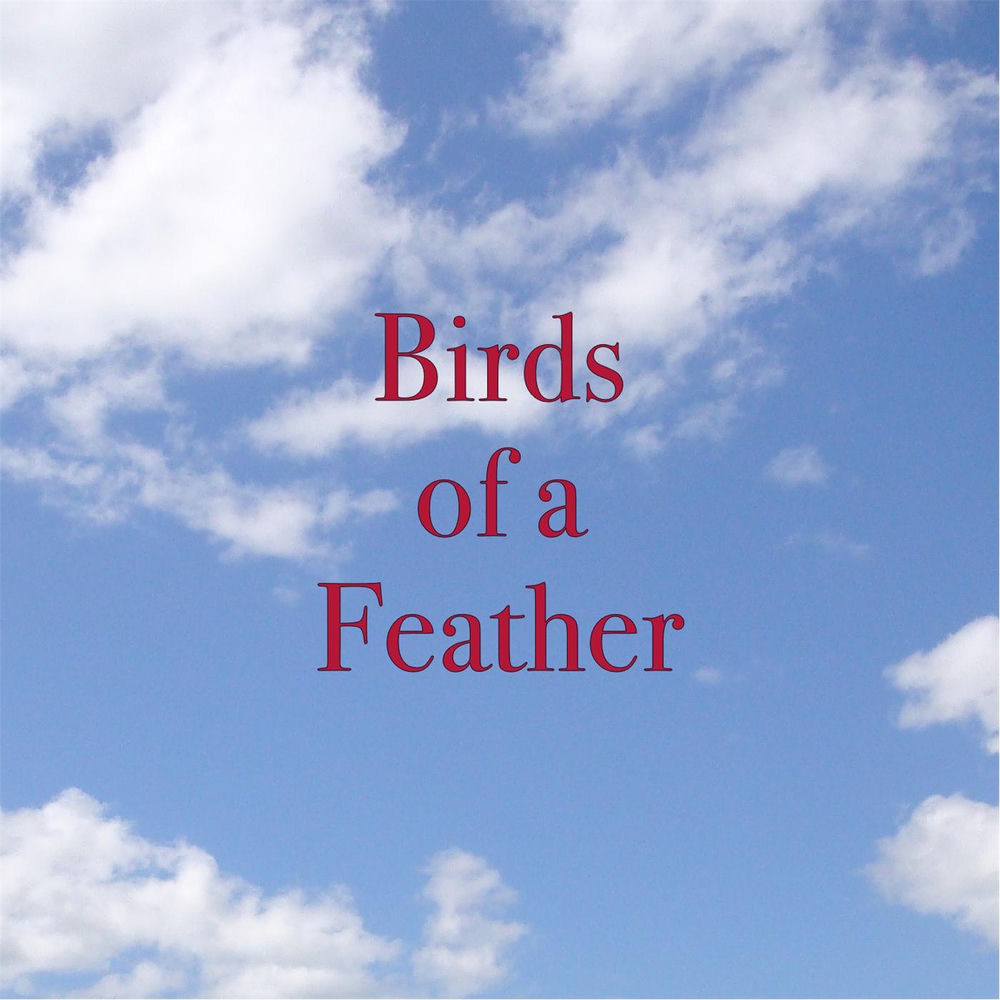 Album artwork for Waiting by Birds Of A Feather