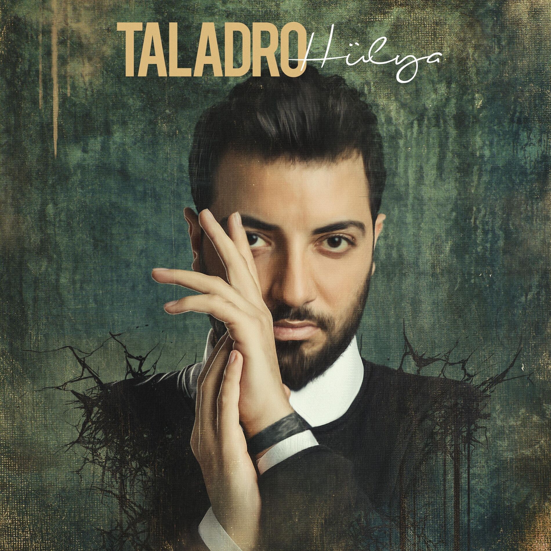 Album cover of Hülya