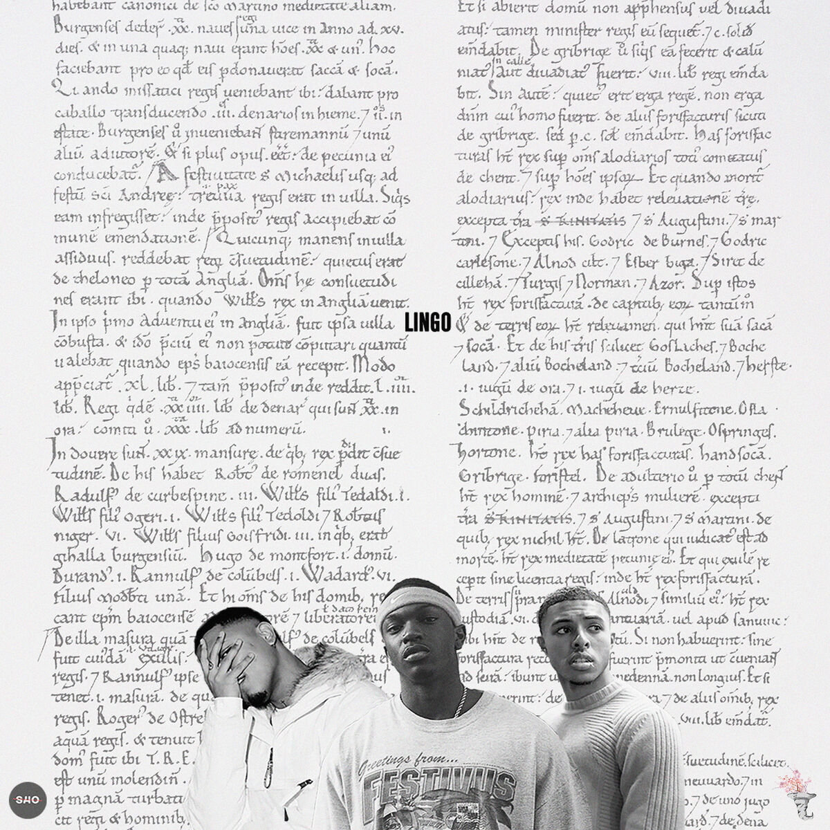 Album cover of Lingo