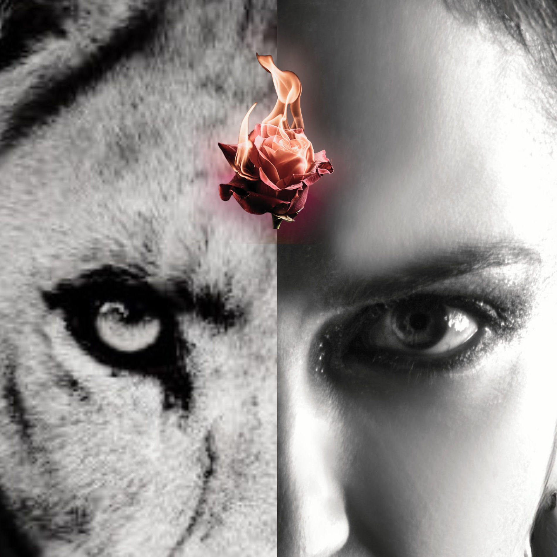 Album cover of Matriarchal Roar