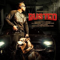 Cover of Busted