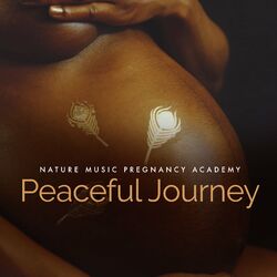 Cover of Peaceful Journey