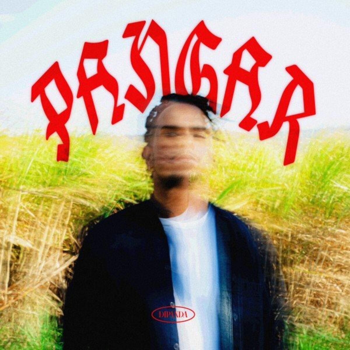 Album cover of Pangar