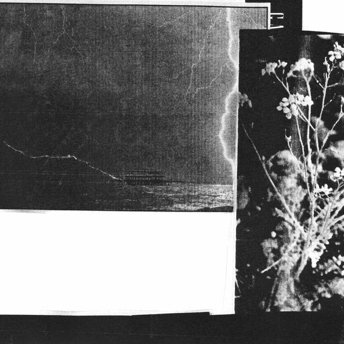 Album cover of Lovers Against the Rocks