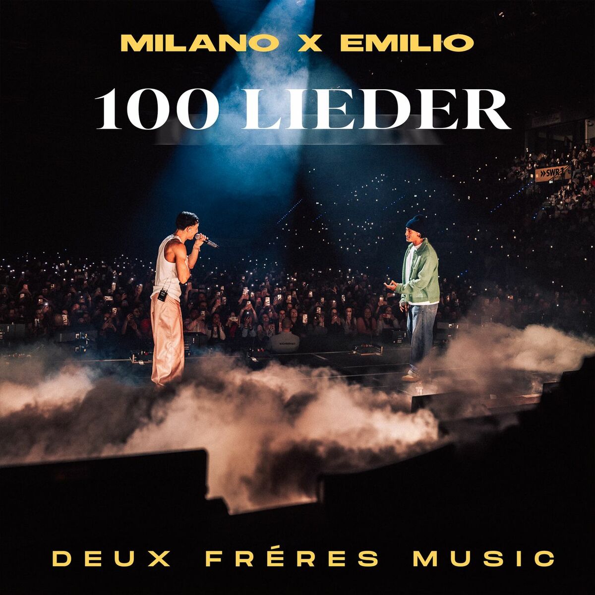 Album cover of 100 Lieder