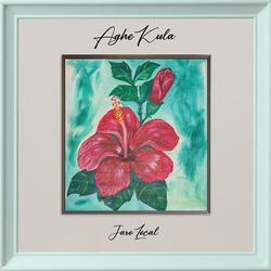 Cover of Aghe Kula