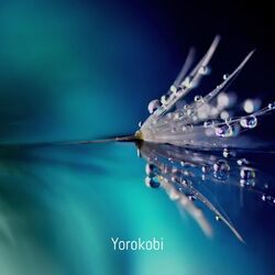 Cover of Universe