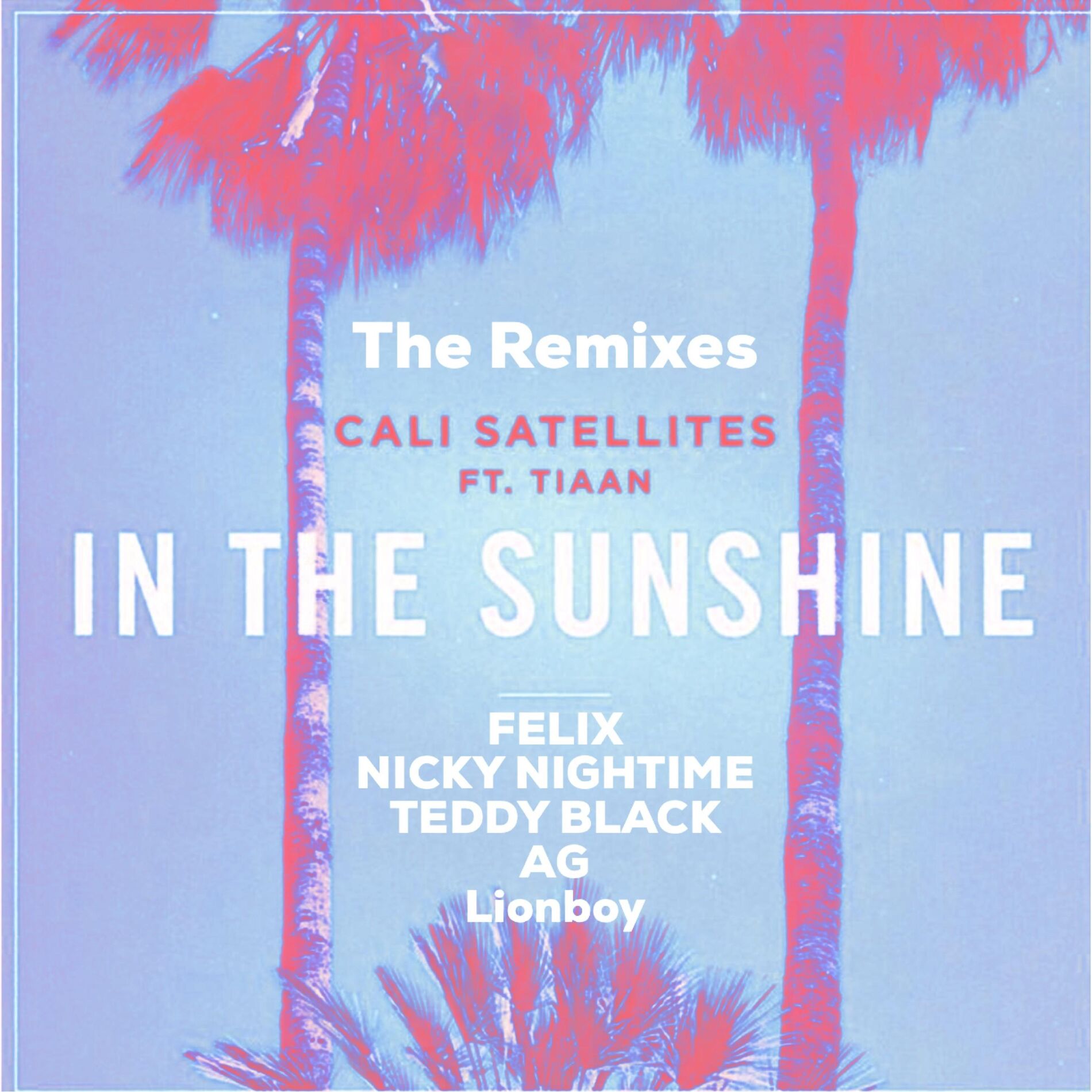 Album cover of In the Sunshine (The Remixes)