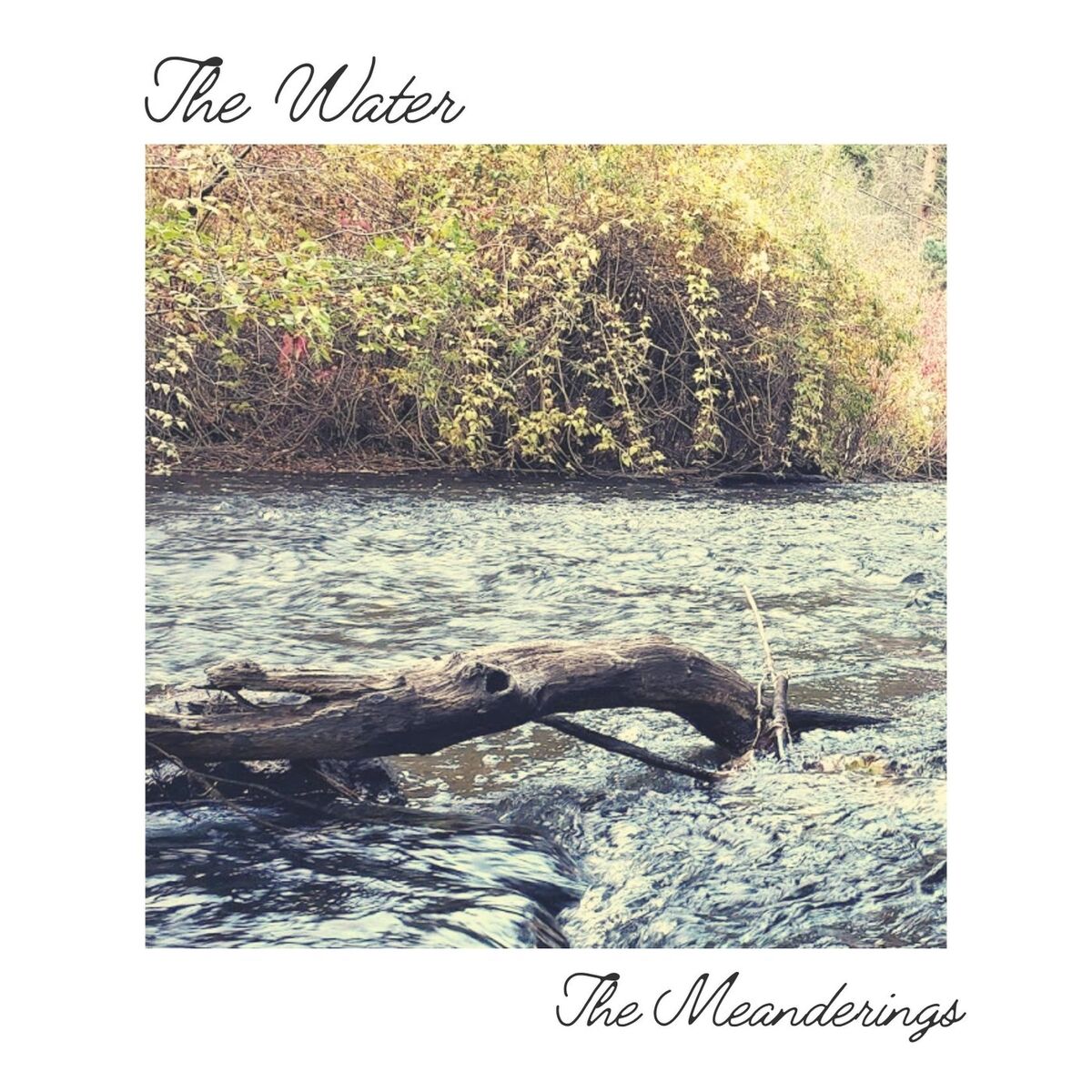 Album cover of The Water
