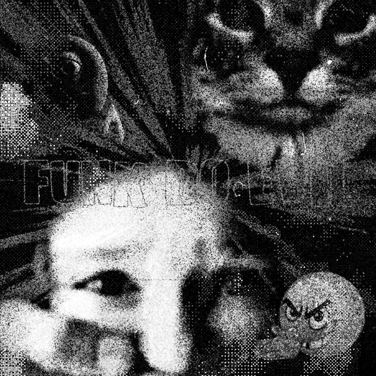 Album cover of FUNK DO EVIL