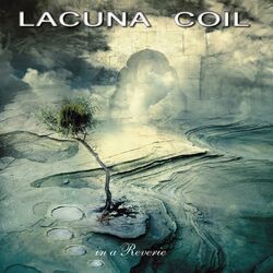 Cover of In a Reverie