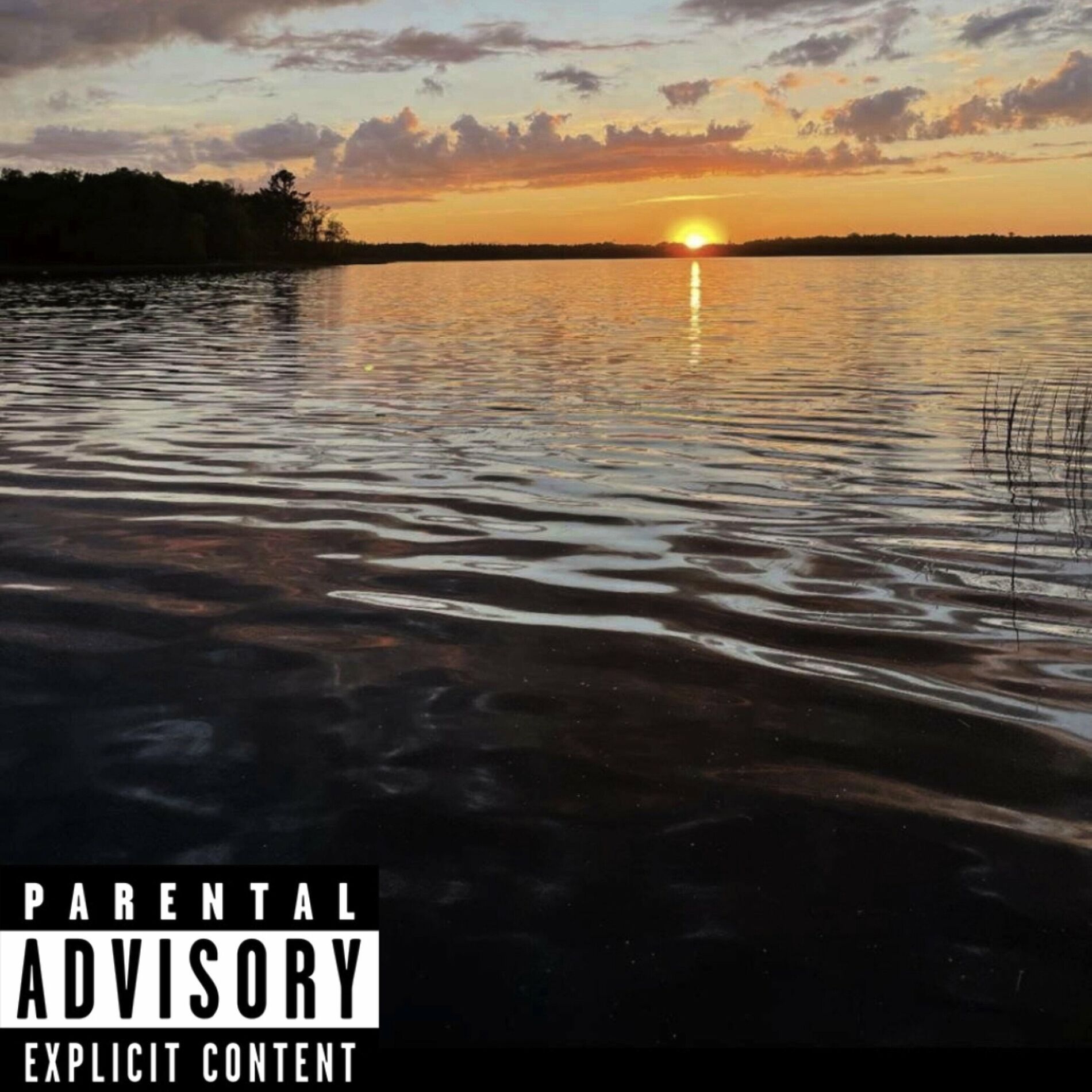 Album cover of Wakanda Today