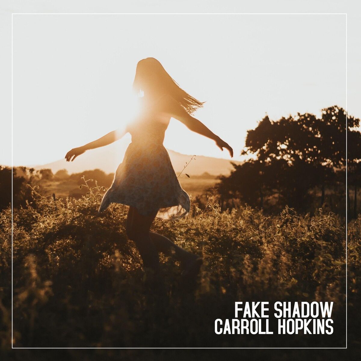 Album cover of Fake Shadow