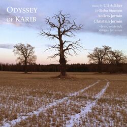 Cover of Odyssey of Karib