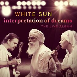 Cover of Interpretation of Dreams (The Live Album)