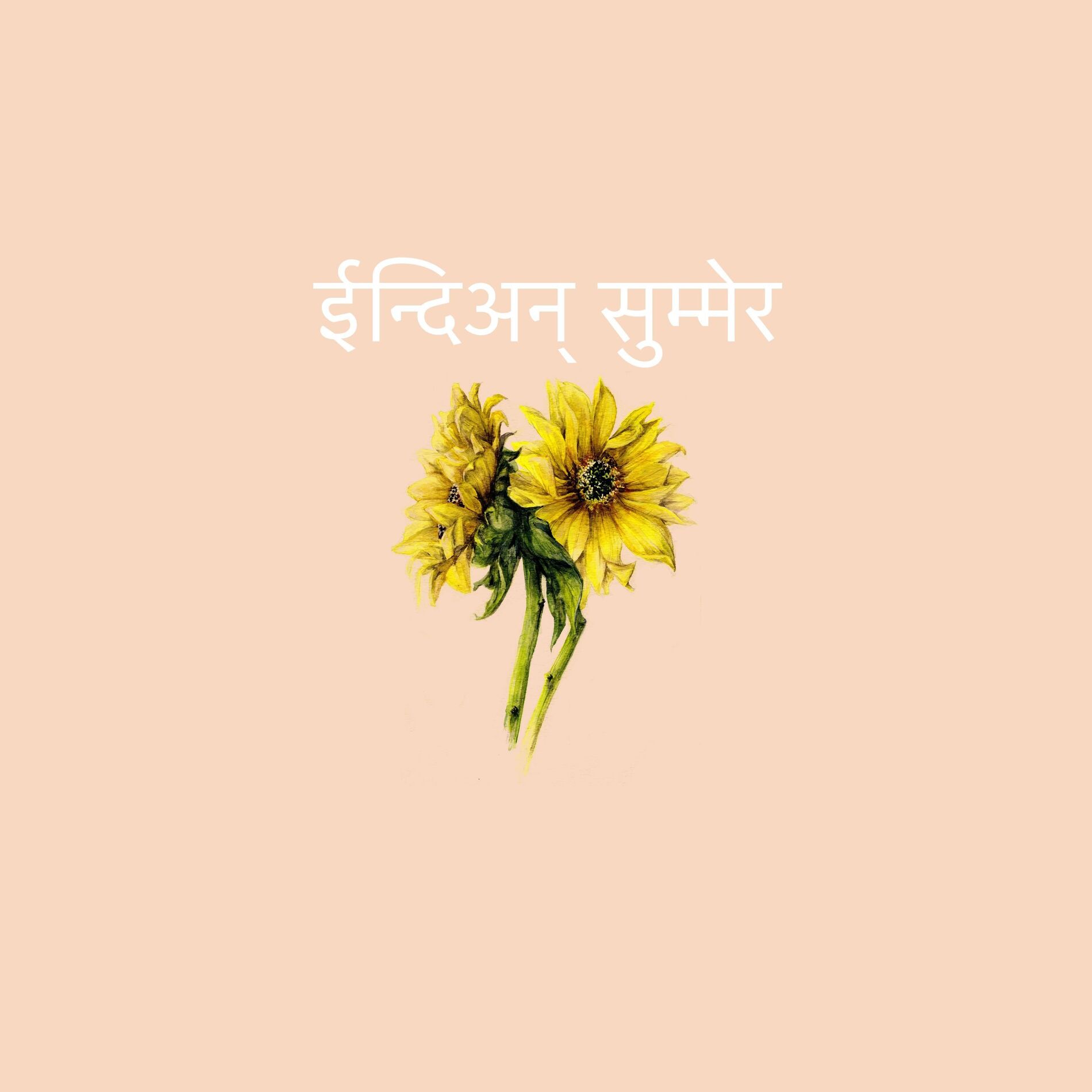 Album cover of Indian Summer
