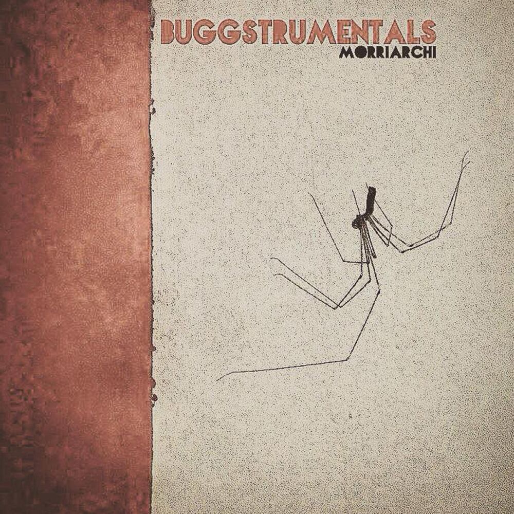 Picture of Buggstrumentals