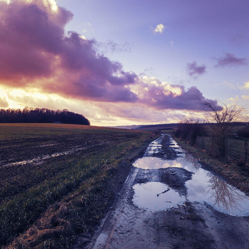 Picture of Peaceful Nature Melodies | Complete Serenity