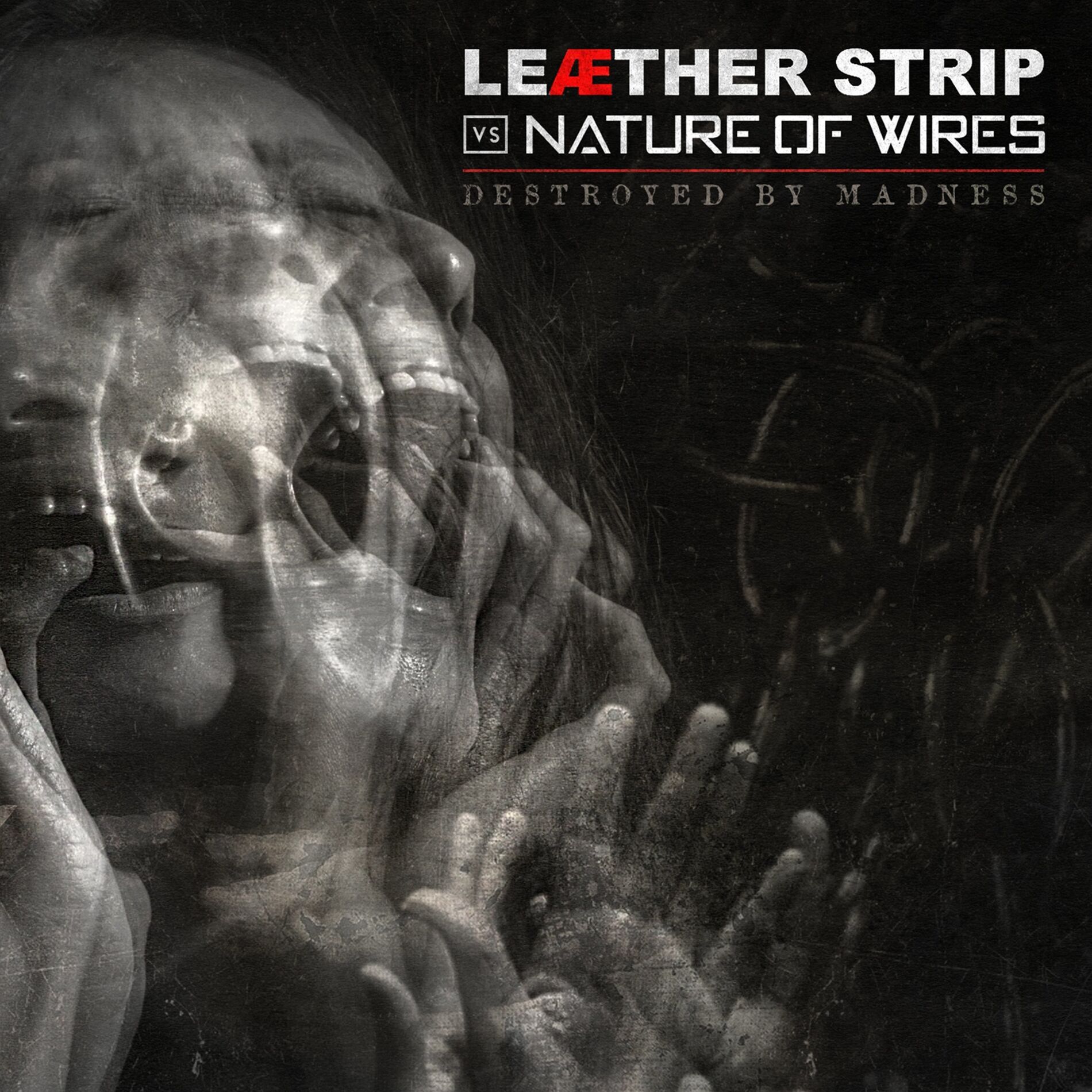 Album cover of Destroyed By Madness