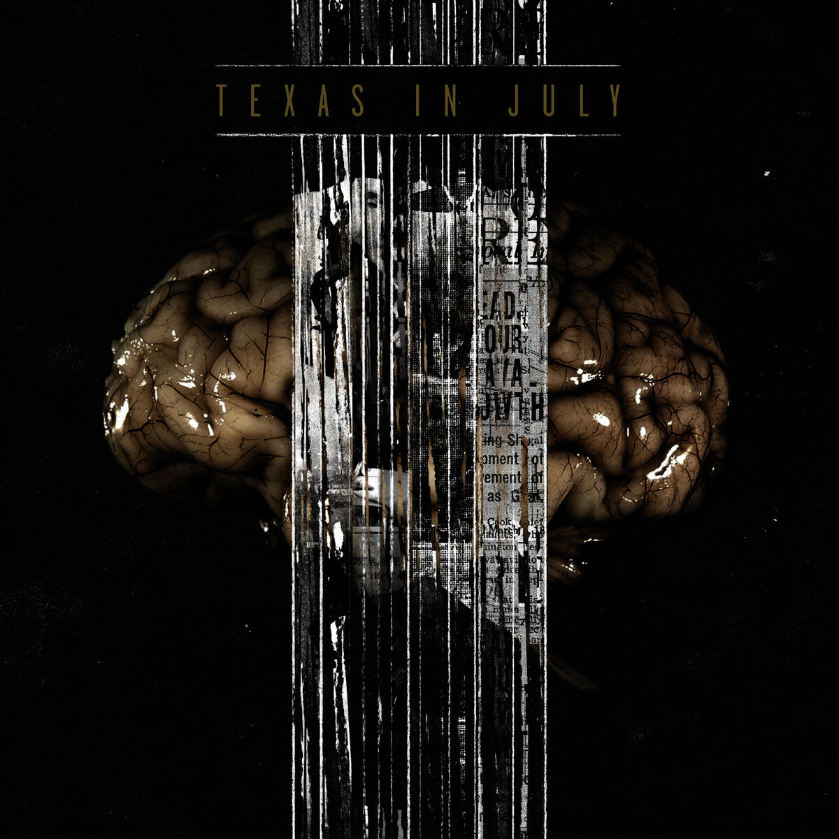 Album cover of Paranoia