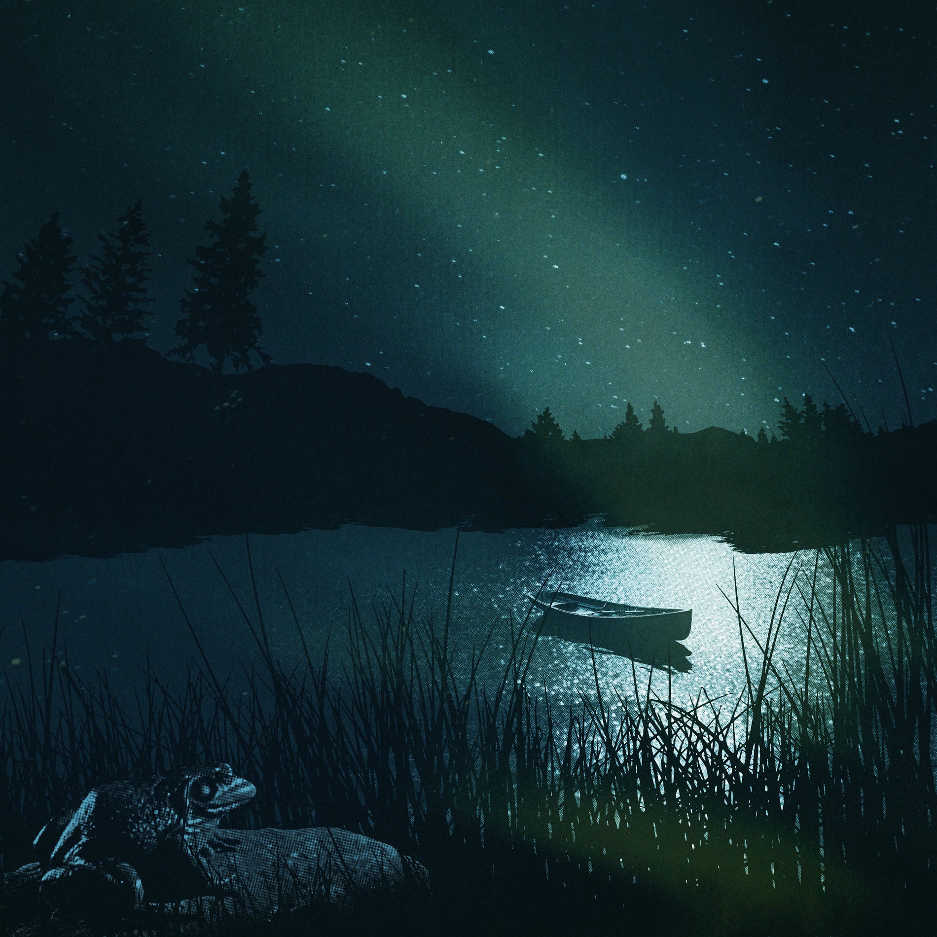 Album cover of Summer Nights