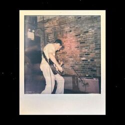 Cover of The Last Night at the Bitter End