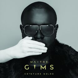 Cover of Ceinture noire
