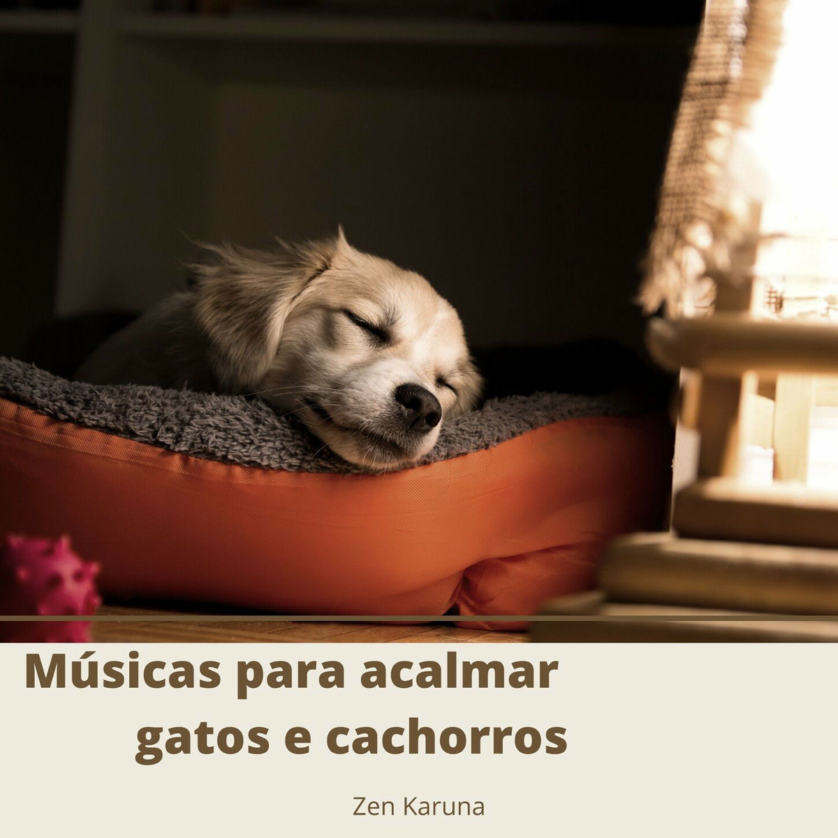 Album cover of Sons para acalmar seu gato