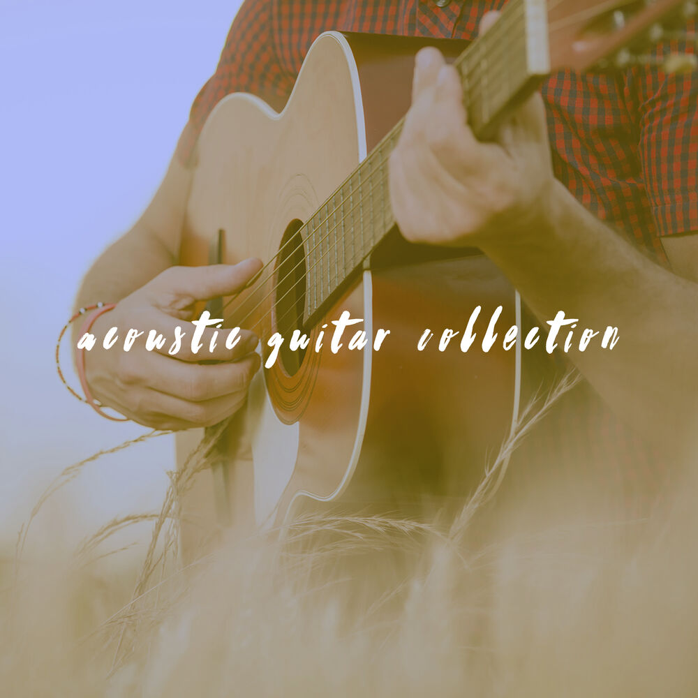 Picture of Acoustic Guitar Collection