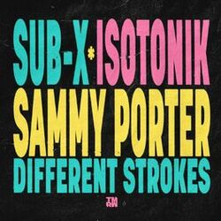 Cover of Different Strokes