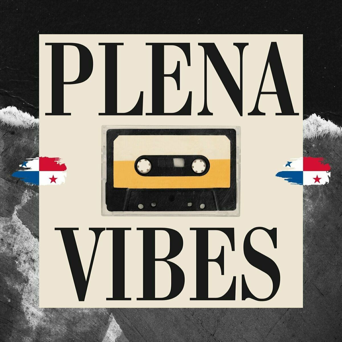 Album cover of Plena Vibes