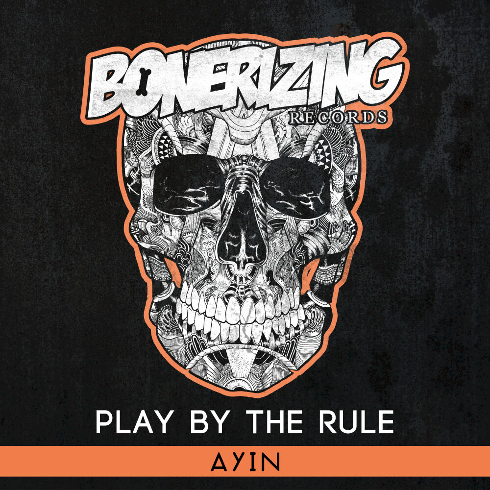 Picture of Play By The Rule