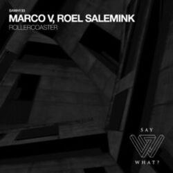 Cover of Rollercoaster