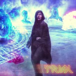 Cover of Trial