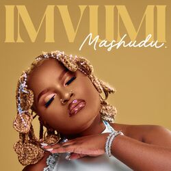 Cover of Imvumi