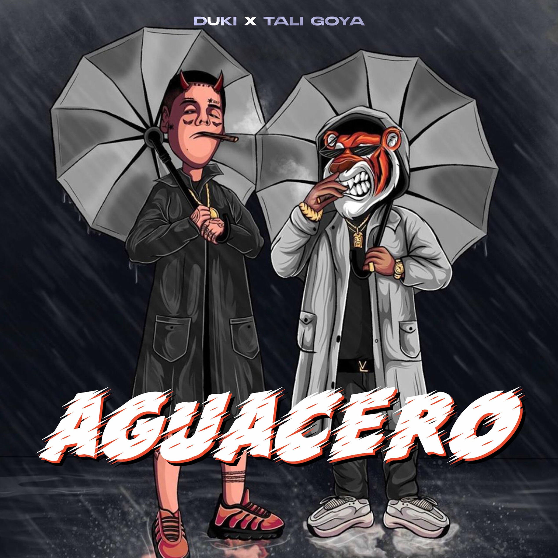 Album cover of Aguacero