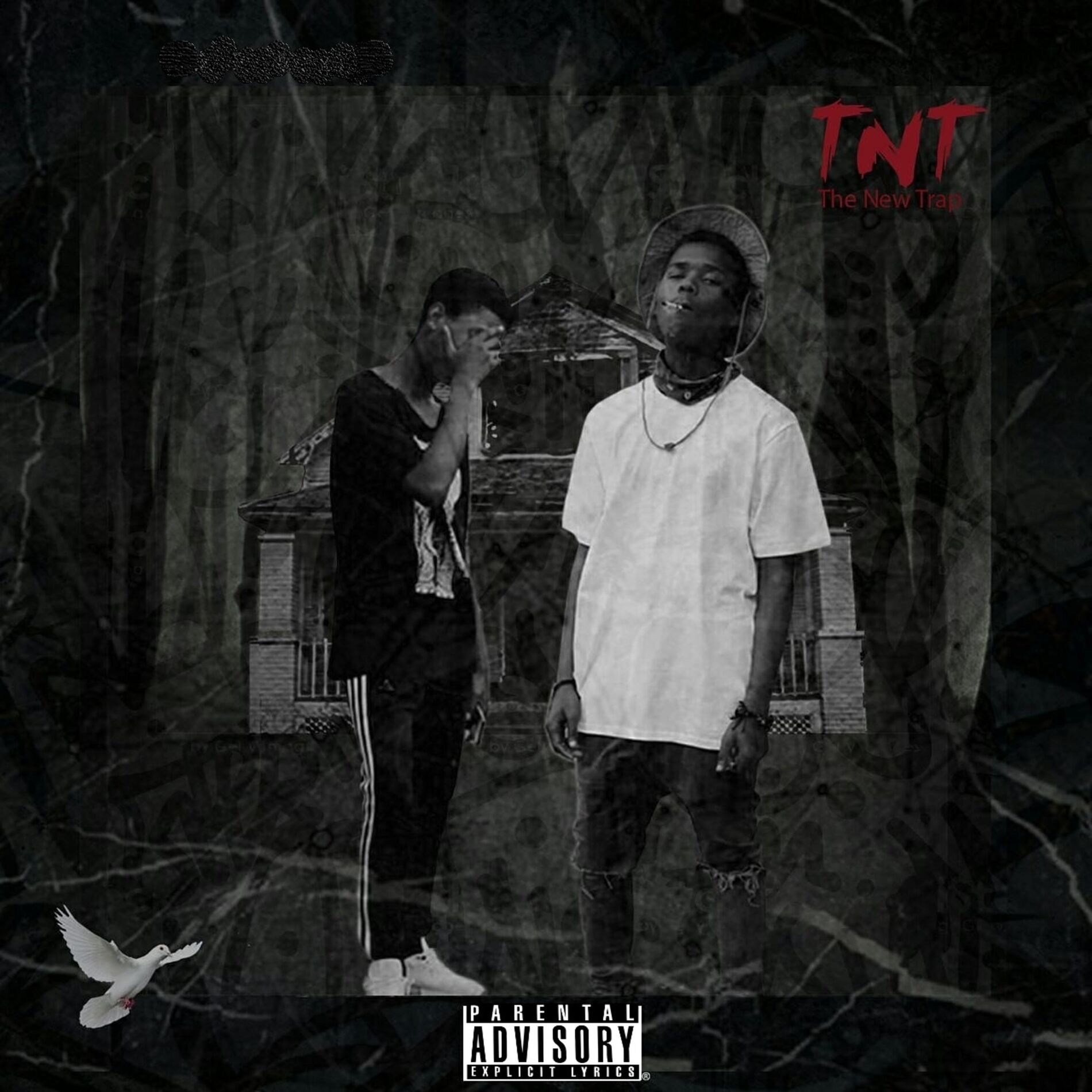 Album cover of The New Trap