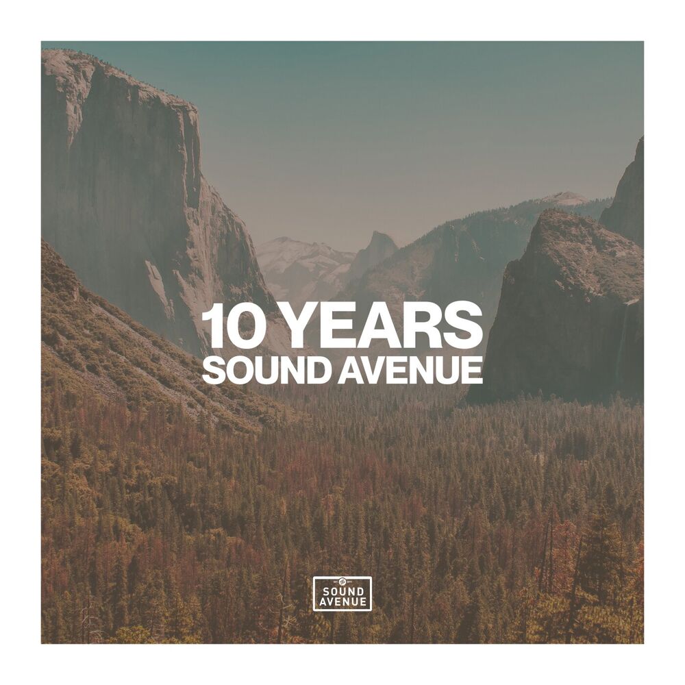 Picture of 10 Years Sound Avenue