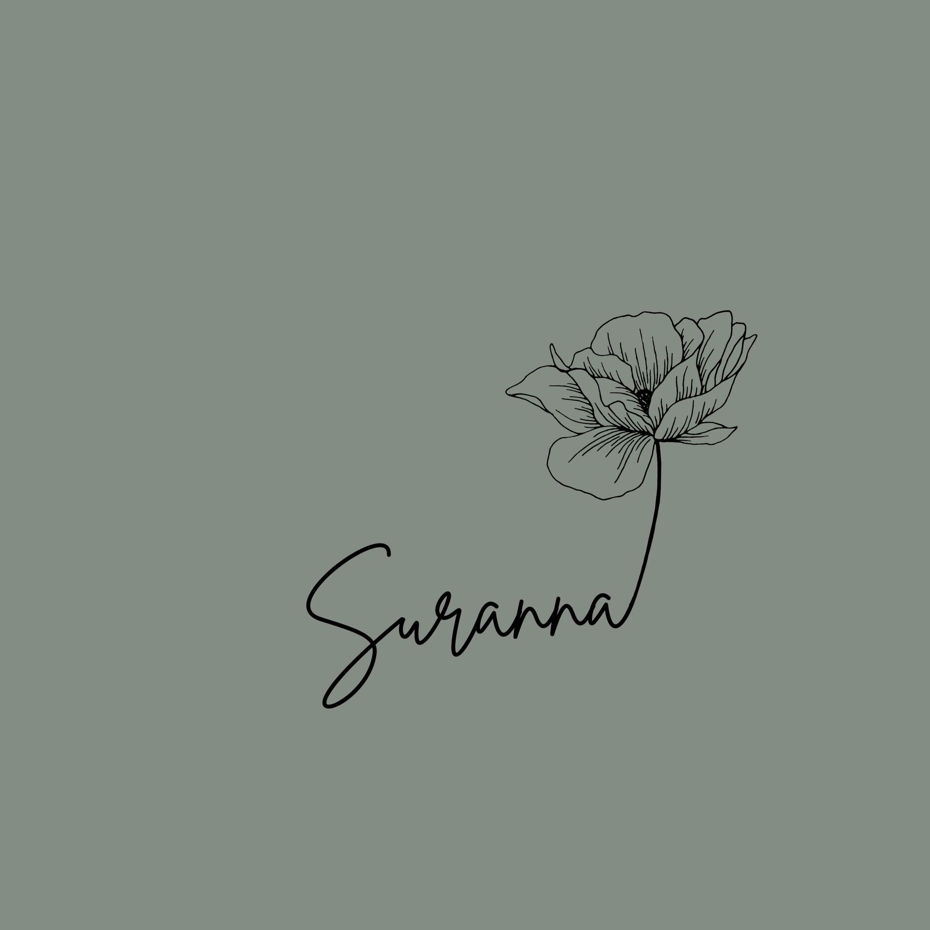 Album cover of Suranna