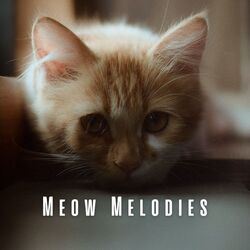 Cover of Meow Melodies: Music for Relaxed Cats