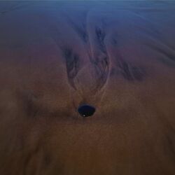 music cover