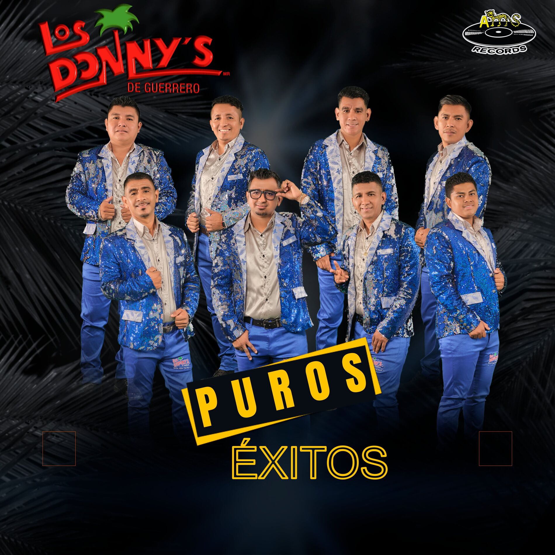 Album cover of Puros Éxitos