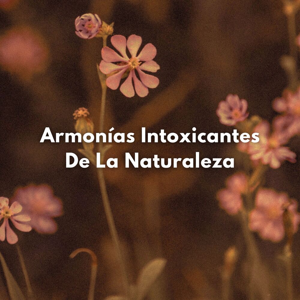 Picture of Armonías Intoxicantes De La Naturaleza
