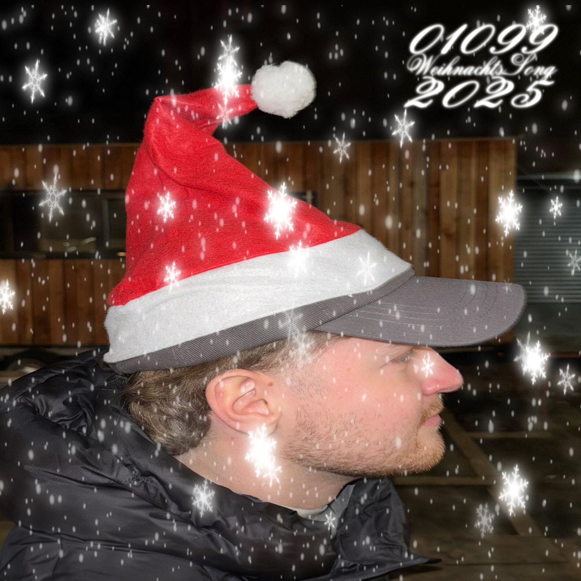 Album cover of Weihnachtslied 2024