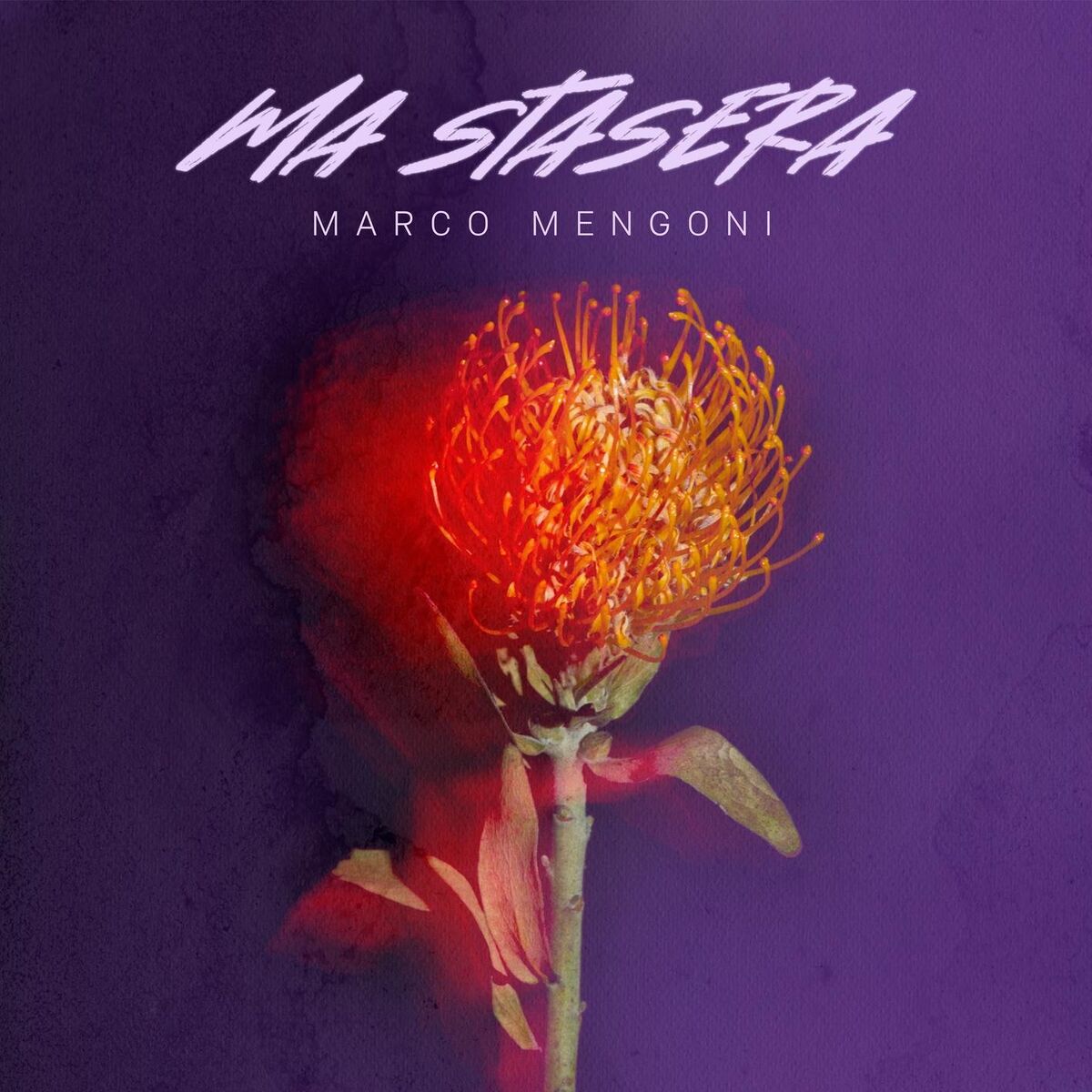 Album cover of Ma stasera