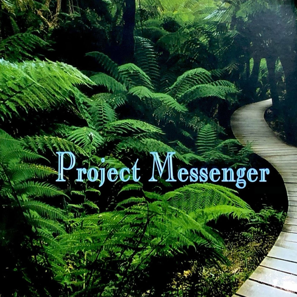 Album cover of Project Messenger