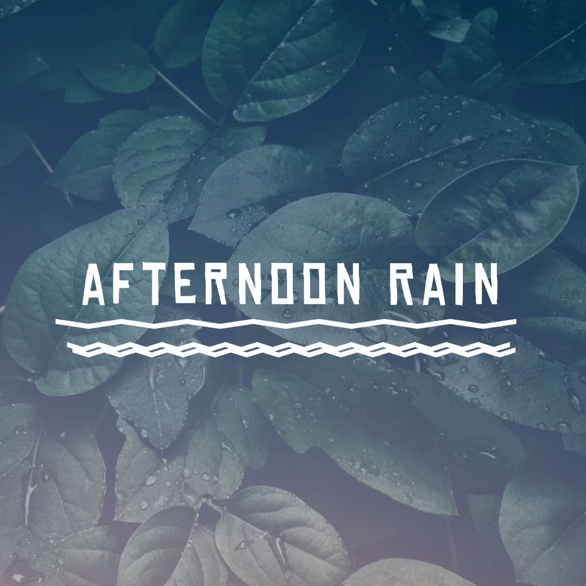 Album cover of afternoon Rain