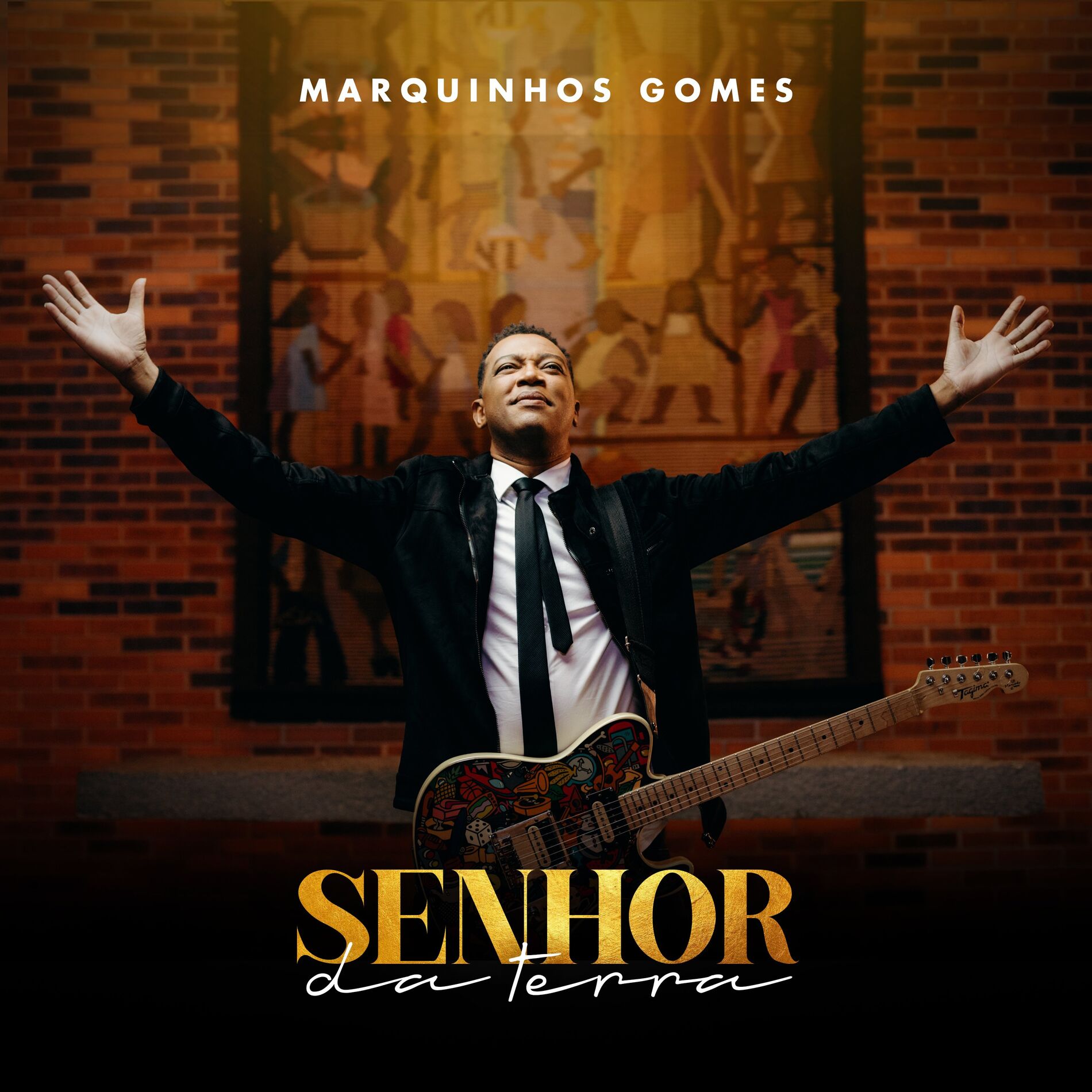 Album cover of Senhor da Terra