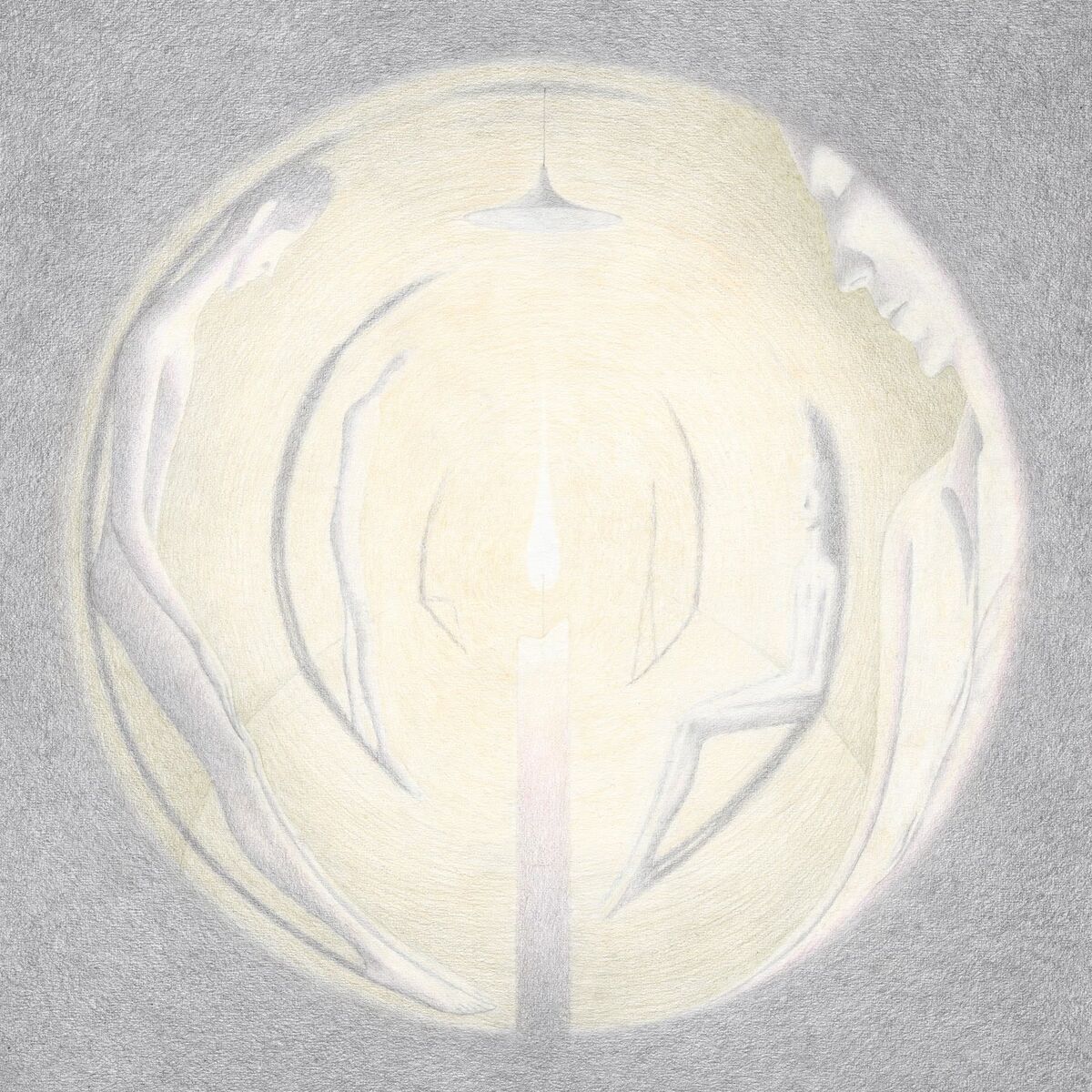 Album cover of Slowly Forgetting, Barely Remembering